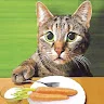 KatranLife