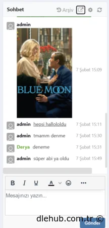 DLE Custom Chat Module v1.0