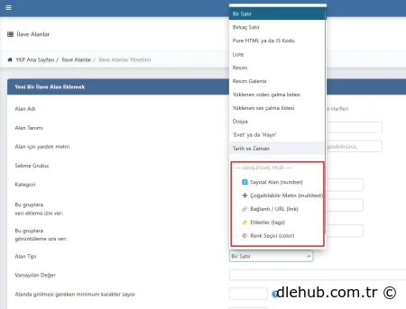 Genişletilmiş Yeni İlave Alanlar